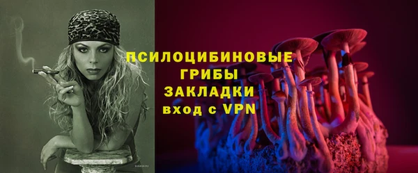 дживик Лагань