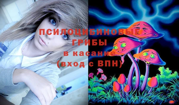 дурь Ладушкин
