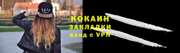 дживик Лагань
