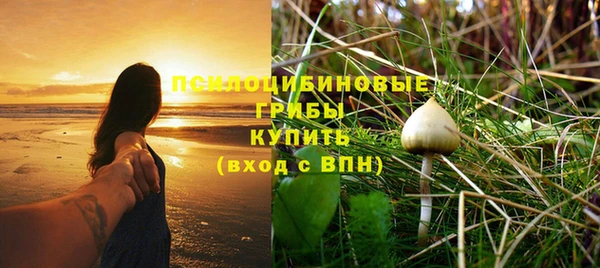 гидропоника Куйбышев