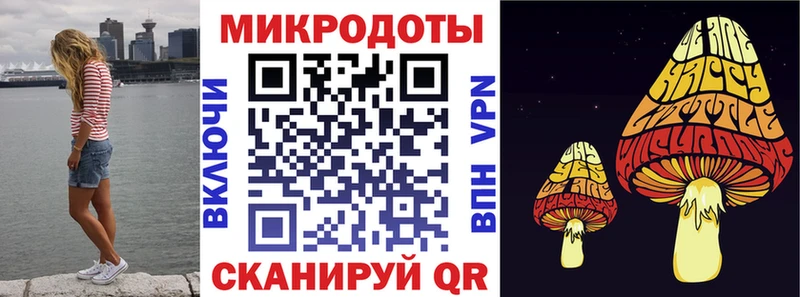 МЕГА маркетплейс  Тогучин  Галлюциногенные грибы Cubensis 